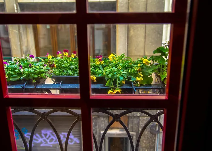 Fabrica 55 With Ac, View And Elevator