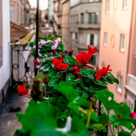 아파트 Fabrica 55 With Ac, View And Elevator 포르투